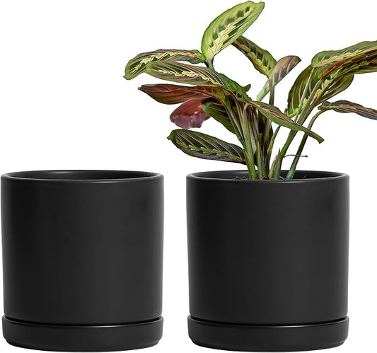 D'vine Dev Set of 2 Plants Pots, 6 Inch Ceramic Planter Pot for Plants with Drainage Hole and Saucer, Black, 94-V-C-2