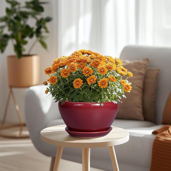 Ceramic Plant Pot 9 Inch - Planter Pot with Drainage Hole and Saucer, Round Large Planter for Indoor Plants, Outdoor Flower Pot for House Patio Decor, Red