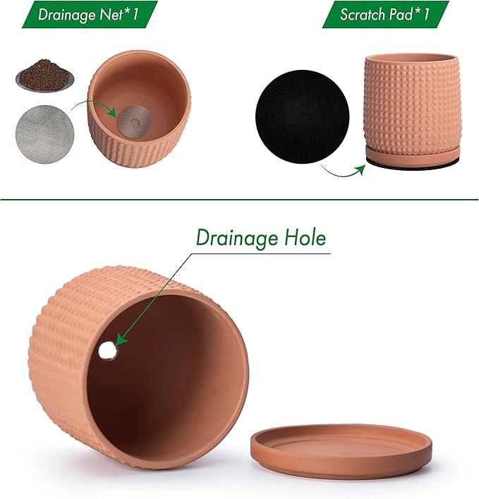 D'vine Dev Set of 2 Ceramic Plants Pots, 4 Inch Beaded Stoneware Flower Pot for Plants with Drainage Hole and Saucer, Terracotta, 27-E-Z-7