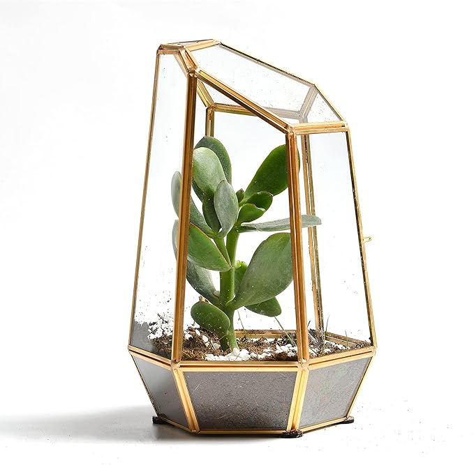Golden Geometric Glass Terrarium with Door - 9.8" Tall Irregular Clear Planter for Succulents,Ferns,Moss,Cacti | Indoor Fairy Garden,Tabletop Display,Wedding Home Decoration (Plants Not Included)