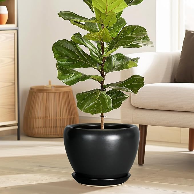 Ceramic Pot for Plants - 10 Inch Plant Pot Indoor with Drainage Hole and Saucer Large Planter Decorative Planter Modern Outdoor Flower Pot for House Balcony Black