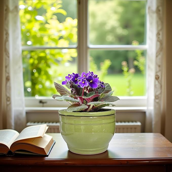 African Violet Pots Self Watering Round Ceramic Violet Pot (Green, 6 inch)