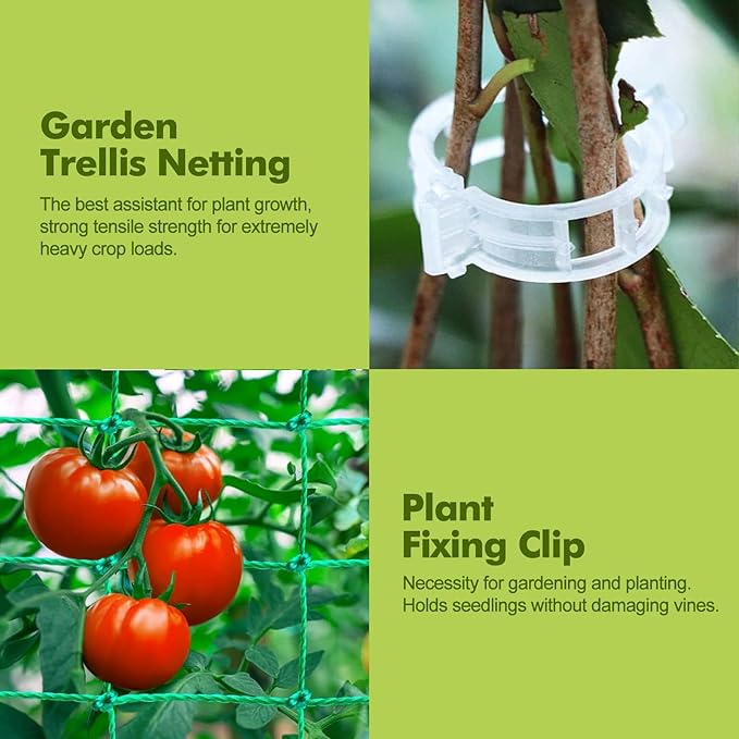 GOJAWAY 63" L x 63" H Cucumber Trellis for Raised Bed, Metal Arch Garden Trellis for Climbing Plants Outdoor, U-Shape Gardening Support Frame for Vegetable, Flower, Fruits, Vine