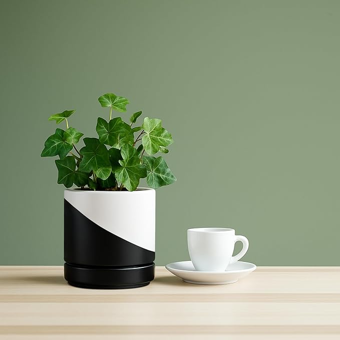 D'vine Dev 4.6 Inch Ceramic Planter Pot with Drainage Hole and Saucer, Indoor Cylinder Round Planter Pot, Oblique Monochrome Black and White, 94-O-B-K