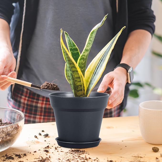 6 inch Nursery Pots, 16 Pack Plastic Plant Pots for Indoor Outdoor Plants, Flower Pots with Drainage Holes and Saucers, Decorative Seedling Starter Planters for House Plants, Black