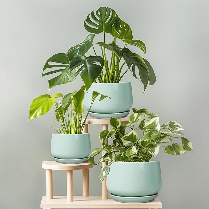 G EPGardening Ceramic Plant Pots - 7 Inch Planter for Indoor Outdoor Plants, Ceramic Planter with Drainage and Saucer, Round Modern Flower Pots, House Decor, Gift for Men Women, Green