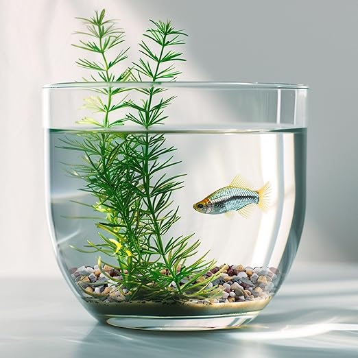 5 lbs Pea Gravel for Plants, Aquarium, Fish Tank, 3/8 inch Decorative Pebbles for Indoor Plants, Succulent, Bamboo, Vase, Drainage Rocks for Potted Plants, Top Dressing, Mixed Color