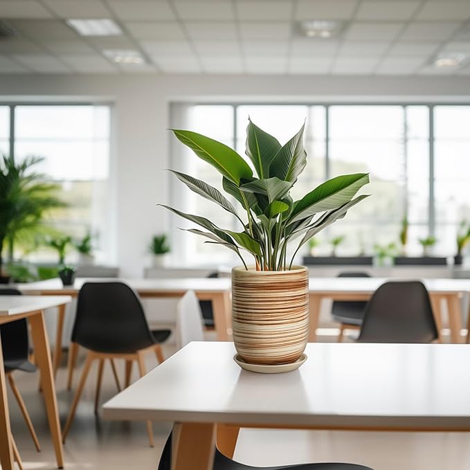 8 Inch Plant Pot, Ceramic Planter for Outdoor Plants, Large Plant Pot Indoor with Drainage Hole and Saucer, Modern Flower Pot for Home Garden Decor Yellow