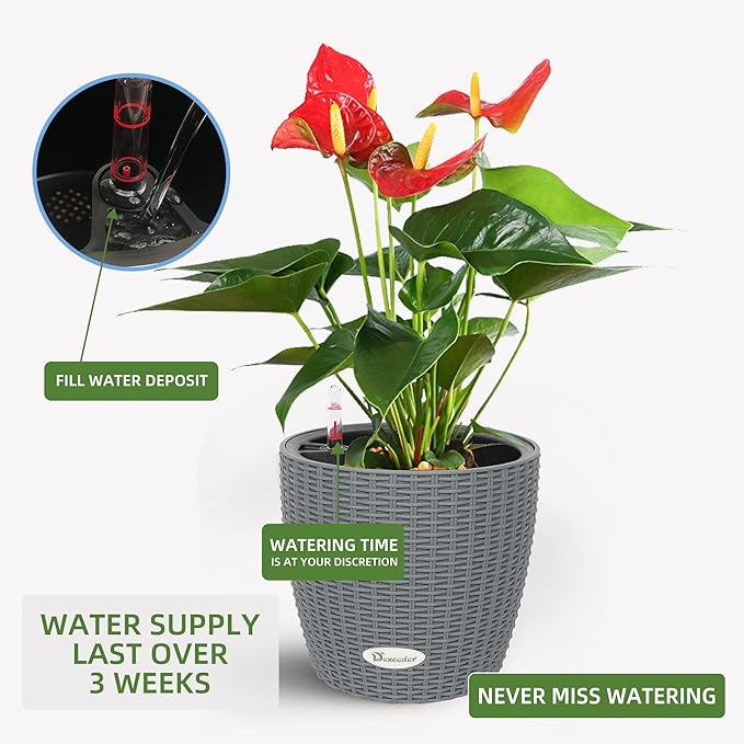 Dexceder 9x8 Inches Rattan Self Watering Planter Indoor Outdoor, Inner Pot Design, Thickened Table Flower Plant Pot with Water Level Indicator (Deep Gray)