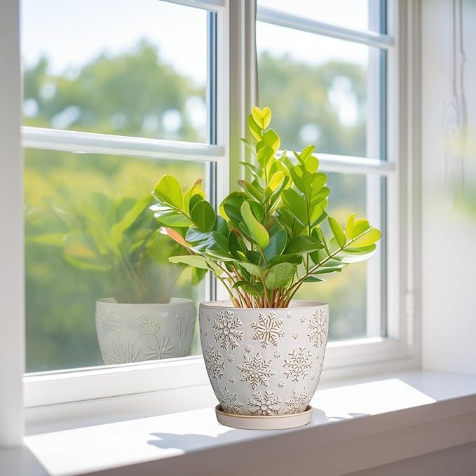 6 Inch Plant Pot with Drainage Hole and Saucer Ceramic Planter for Indoor Plant Flower Pot for Orchid Succulents Plants White