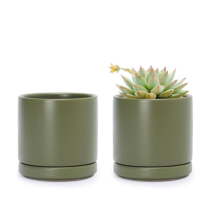 D'vine Dev Set of 2 Plants Pots, 3.5 Inch Ceramic Planter Pot for Plants with Drainage Hole and Saucer, Olive, 94-V-A-J