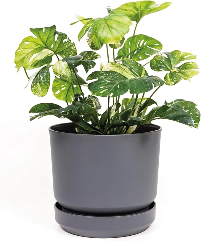 Elly Décor 14 inch Plastic Cylinder Planter Pot with Self-Watering Saucer and Drainage Hole,Lightweight & Extremely Durable, 14"x 14", Gray