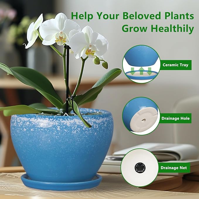 Ceramic Planter Pot 10 Inch - Ceramic Plant Pot for Indoor Outdoor Plants, Large Flower Pot with Drainage Hole and Saucer, Blue
