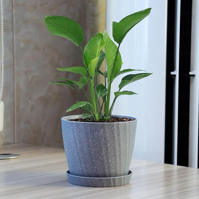 7 Inch Plant Pots Bulk, 6 Pack Plastic Planters with Drainage Holes and Saucers for Indoor Outdoor House Plants and Flowers, Grey
