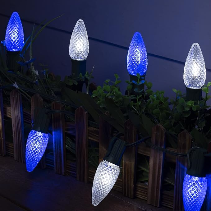 C9 LED Christmas Lights Outdoor with stakes, 25.7ft 20 LED Strawberry String Lights, Connectable Shatterproof Pathway Lights Marker for Path, Lane, Patio, Xmas Holiday Decorations, Blue and White