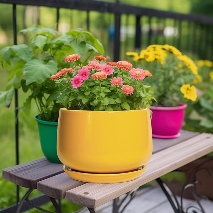 G EPGardening Ceramic Flower Pot - 9 Inch Plant Pots for Indoor Outdoor Plants, Round Ceramic Planter with Drainage and Plant Saucer, Modern Planter, Home Office Decor, Garden Gifts, Yellow