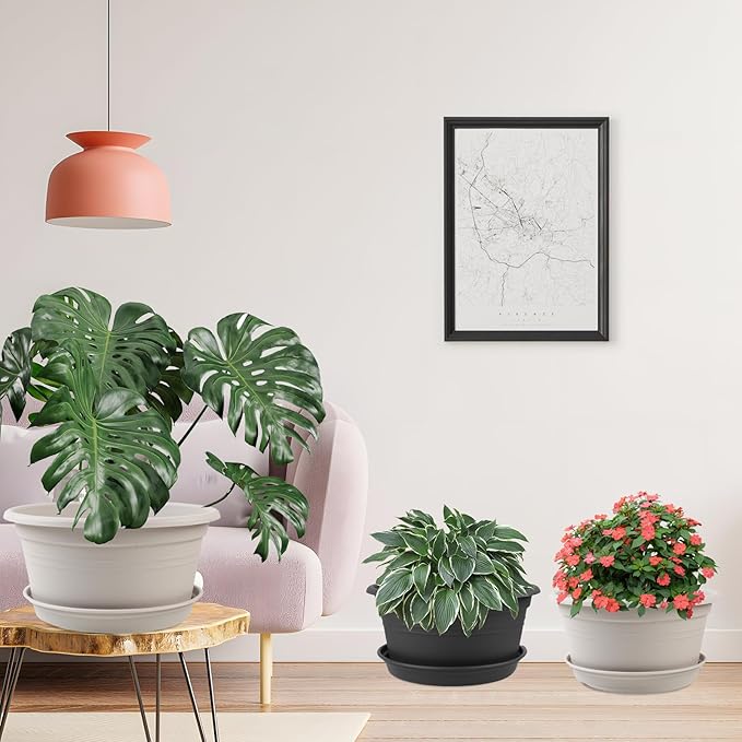 6 Pack 10 inch Plant Pot, Outdoor Pots for Plants with Drainage Hole & Tray Saucer, Round Plastic Plant Pot, Decoration Flower Pots for Indoor Plants Home Garden Outdoor Planters (White)