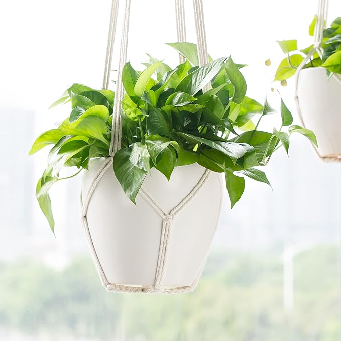Dahey Macrame Plant Hanger Indoor Outdoor Hanging Planter Basket Large for up to 12" Pot Handmade Woven Cotton Rope Flower Pots Holder for Boho Home Decor, 43 Inch, Set of 2