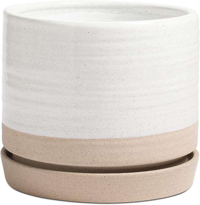 8 Inch Pots for Plants, Ceramic Planter Pot with Drainage Hole & Saucer, Indoor or Outdoor Cylinder Round Planter Pot, Matte White & Beige