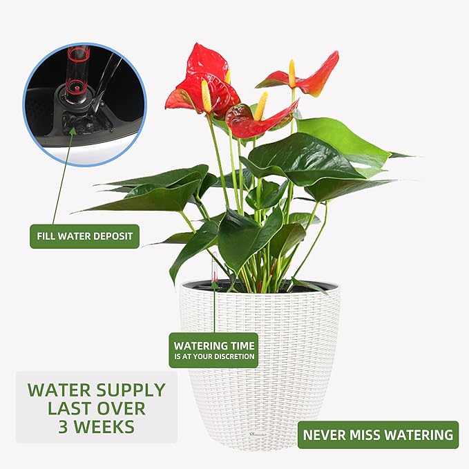 Dexceder 15x14 Rattan Self Watering Planter with Wheels Indoor Outdoor, Inner Pot Design, Thickened Large Floor Standing Flower Plant Pot with Water Level Indicator (Ivory White)