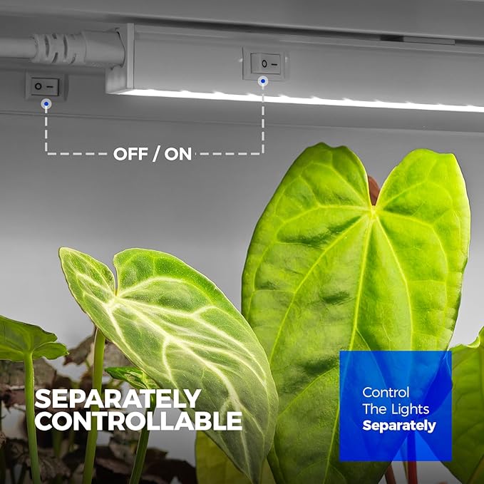 Barrina T5 Grow Lights for Indoor Plants Full Spectrum, 2FT 40W (4 X 10W) Indoor Plant Light with Separate Switch, Linkable Grow Lamp, Indoor Plant Lights for Growth with White Cover, 5000K, 4 Packs