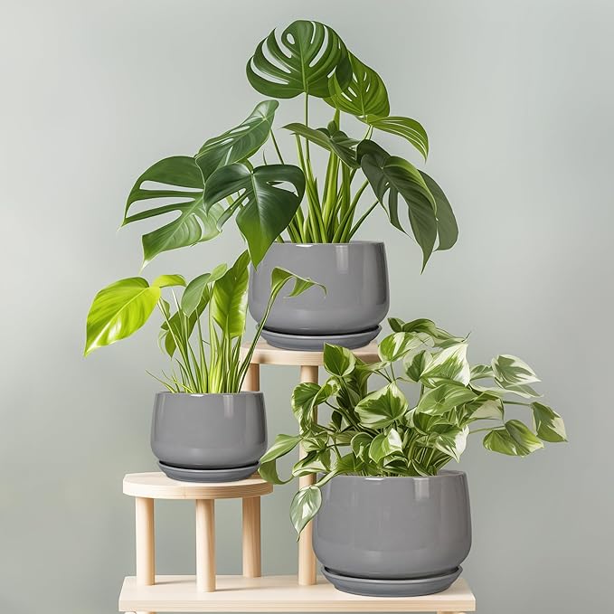 G EPGardening Ceramic Plant Pots - 9 Inch Modern Round Planter with Drainage and Plant Saucer for Indoor Outdoor Flower, Apartment Decor, Birthday Gifts, Grey