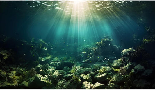 Deep Ocean Aquarium Background Under The Sea Fish Tank Background Underwater World Terrarium Backgrounds Ocean Floor Rock Aquatic Plants Aquarium Backdrop for Fish Tank Backgrounds Decors 24x12in