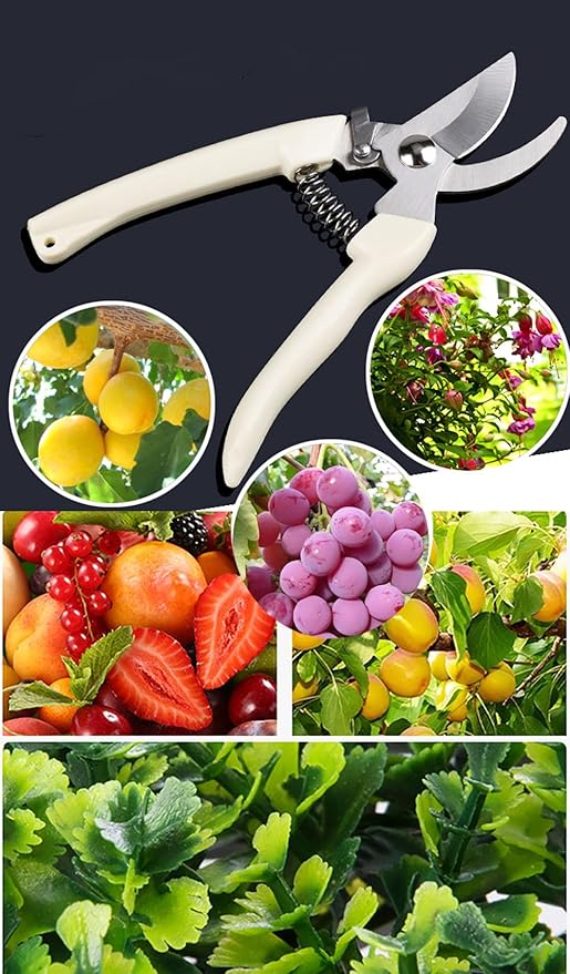 5pcs Garden Flower Shears Pruning Shears 6.9 inches Scissors Heavy Duty Plant Scissors for Cutting Flowers, Trimming Plants, Bonsai, Fruits Picking (White Handle 5pcs)