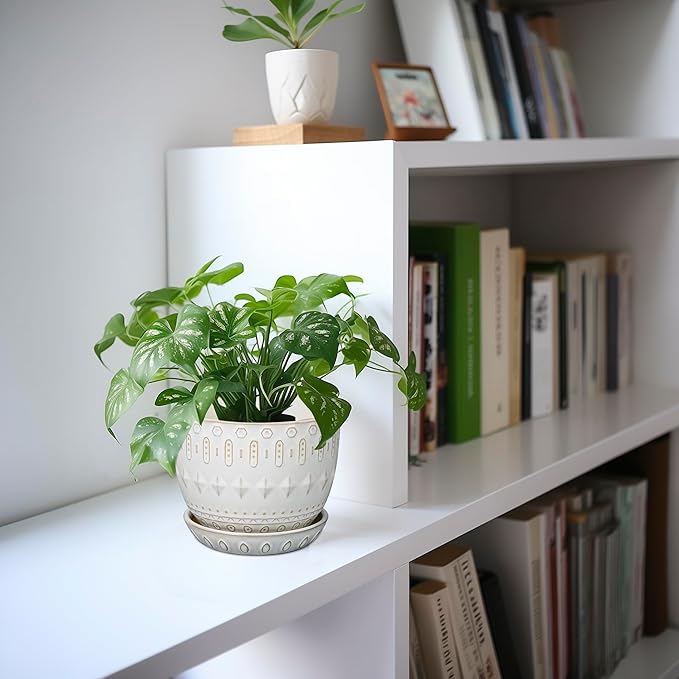 G EPGardening Ceramic Plant Pot - Succulent Pots with Drainage Hole and Saucer 5 Inch Planter for Indoor Plants Outdoor Decorative Round Flower Pot White