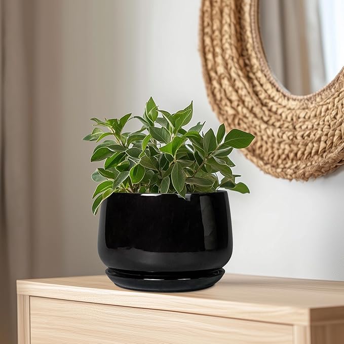 G EPGardening Ceramic Plant Pots - 9 Inch Round Planter, Ceramic Pots for Plants with Drainage and Tray, Flower Indoor Outdoor Planter, Modern Desk Decor, Plant Lover Gifts, Black
