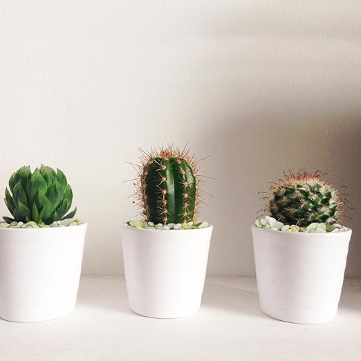 5 lbs Jade Pebbles for Indoor Plants, Decorative Pebbles for Bamboo, Vase, 3/8" Plant Gravel for Pots Indoor, Highly Polished Small River Rocks