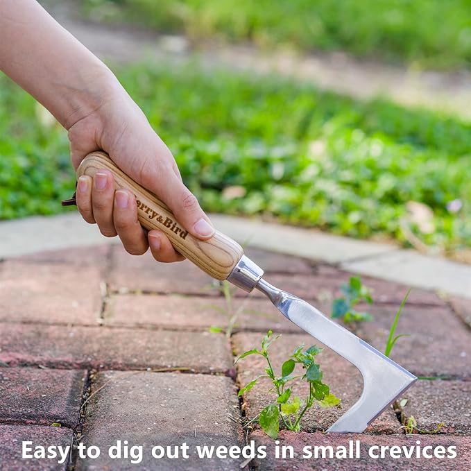 Berry&Bird Crack Weeder, Crevice Weeding Tool, 11.2" Stainless Steel Manual Weeder, L-Shaped Side-Walk Puller Spatula, Grass Cutter Knife, Weeding Sickle for Garden Lawn Yard Patio Terrace Paving Moss