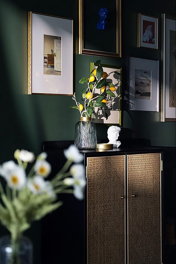 Dimoon 236''x15.7'' Emerald Dark Skin Peel and Stick Wallpaper Contact Paper Modern Self Adhesive Wall Paper Removable Renter Friendly Textured Solid Vinyl Roll (236''x15.7'',Emerald Dark Skin)