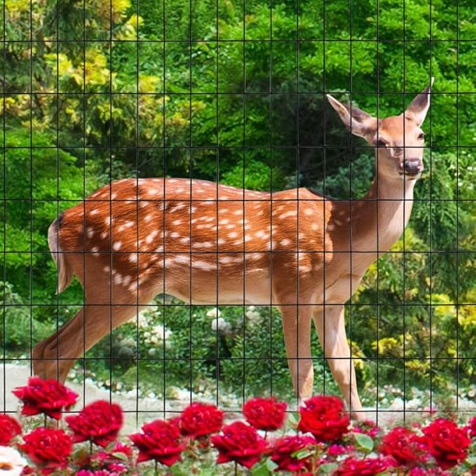 Black PVC Coated Welded Wire Fence 56 Inch x 50 Foot, 2 Inch x 4 Inch 14GA, Garden Border Fencing Roll Vinyl Coating Metal Wire Mesh Hardware Cloth for Yard Vegetable Plant Protection