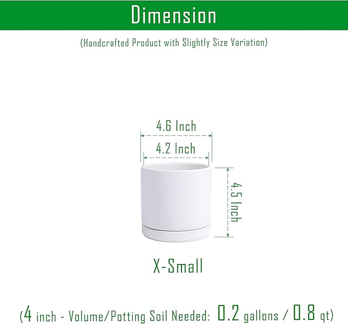 D'vine Dev Set of 4 Small Ceramic Plant Pots, 4.6 Inch Succulent Planter Pot for Plants with Drainage Hole and Saucer, White, 94-X-B-1
