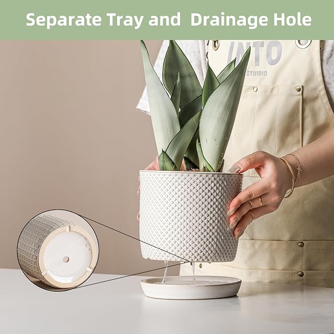 5.8 Inch Plant Pots: Ceramic Planter with Drainage Hole & Saucer - Flowerpot for Indoor & Outdoor Plants - Beaded Embossed Design White - with Separate Tray