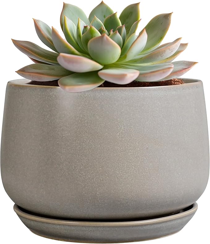 G EPGardening Ceramic Plant Pots - Round 6 Inch Modern Planter with Drainage and Plant Saucer Indoor Outdoor for Flower, Garden Decor, Gifts for Home, Retro Gray