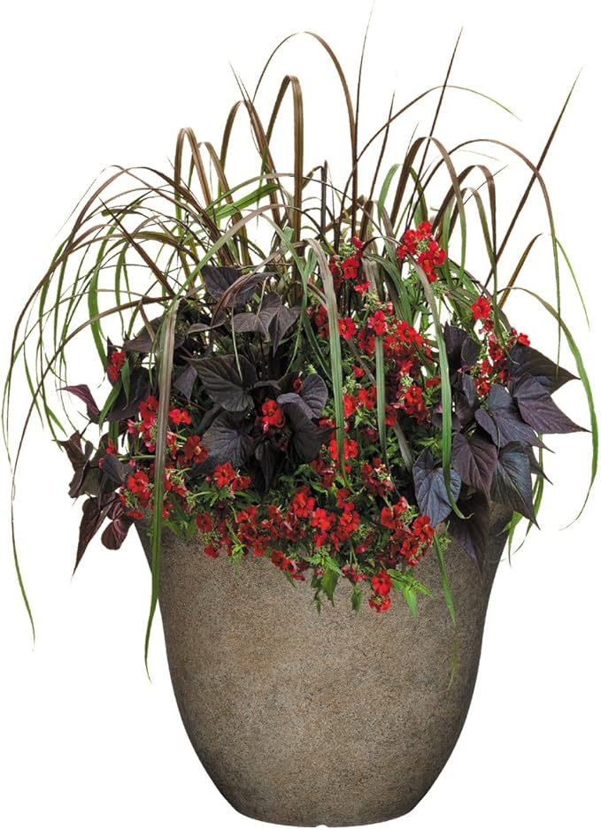 Classic Home and Garden Honeysuckle Resin Flower Pot Planter, Fossil Stone, 15" (Pack of 2)