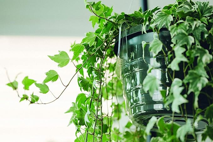 Curtis Wagner Plastics Hanging Basket Drip Pans (5-Pack) | Clear, Round (Diameter = 9" Base, 12" Top, 3.75" Depth) Hanging Plant Tray Saucer with Built-in Hooks & Water Catcher for Indoor & Outdoor