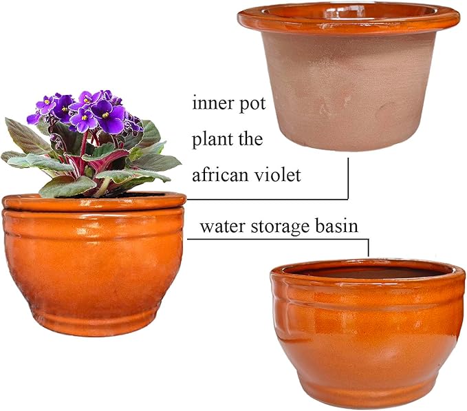 African Violet Pots Self Watering Round Ceramic Violet Pot (Orange, 6 inch)