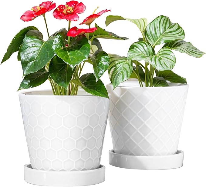 BUYMAX Plant Pots Indoor –6 inch Ceramic Flower Pot with Drainage Hole and Ceramic Tray - Gardening Home Desktop Office Windowsill Decoration Gift, Set of 2(White)