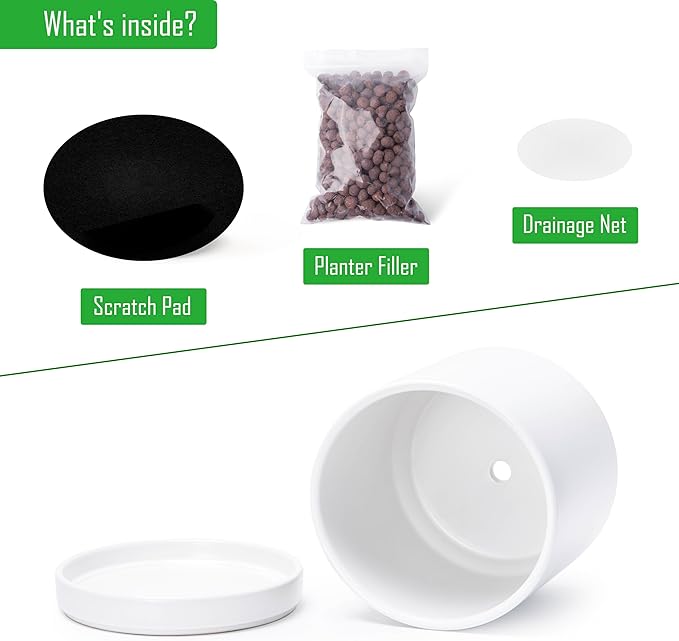 D'vine Dev 8 Inch Ceramic Planter Pot with Drainage Hole and Saucer, Indoor Cylinder Round Planter Pot, White, 94-O-D-1