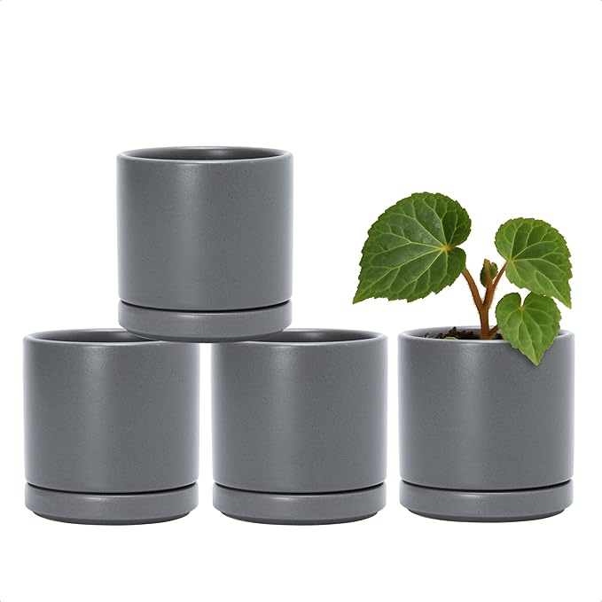 D'vine Dev Set of 4 Small Ceramic Plant Pots, 3.5 Inch Succulent Planter Pot for Plants with Drainage Hole and Saucer, Grey, 94-X-A-3