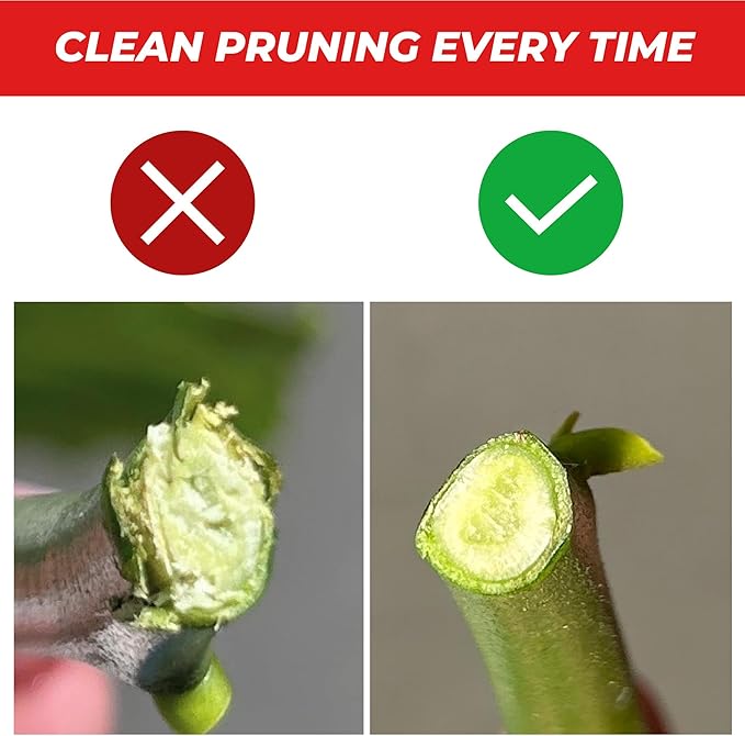 DAESUNG Bypass Pruning Shears For Gardening, Bypass Pruner For Gardening Heavy Duty, Bypass Pruners, Garden Shears Pruning Heavy Duty, with 5/8 Inch Cutting Capacity VGS-001 (Made in Vietnam)