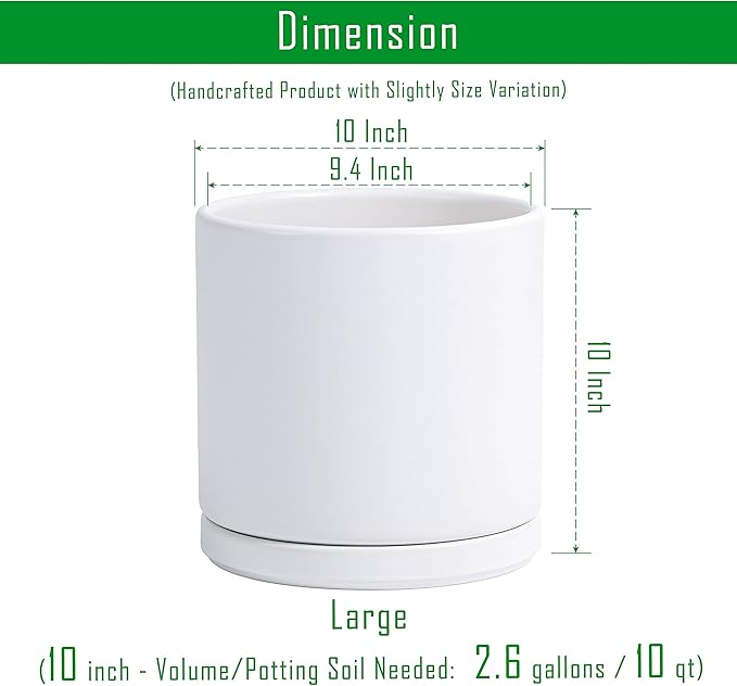 D'vine Dev 10 Inch Ceramic Planter Pot with Drainage Hole and Saucer, Indoor Cylinder Round Planter Pot, White, 94-O-E-1