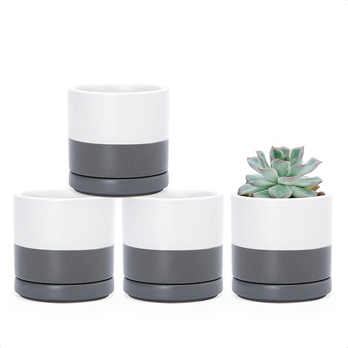 D'vine Dev Set of 4 Small Ceramic Plant Pots, 3.5 Inch Succulent Planter Pot for Plants with Drainage Hole and Saucer, White/Speckled Grey, 94-X-A-6