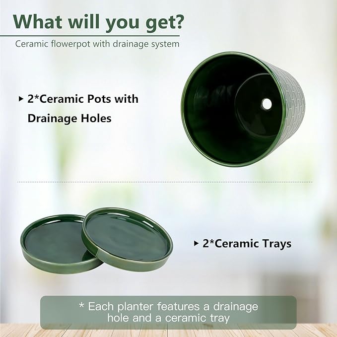 BUYMAX Plant Pots Indoor –6 inch Ceramic Flower Pot with Drainage Hole and Ceramic Tray - Gardening Home Desktop Office Windowsill Decoration Gift, Set of 2(Patina)
