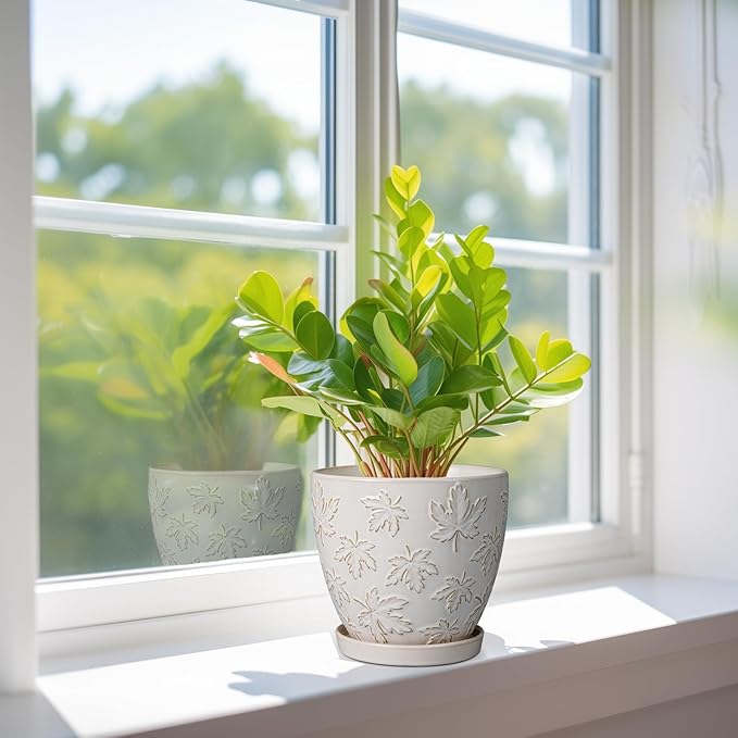 Ceramic Plant Pot 6 Inch - Ceramic Planter with Drainage Hole and Saucer Round Planter Flower Pot for Indoor Plants Outdoor Home Garden Office Decor White