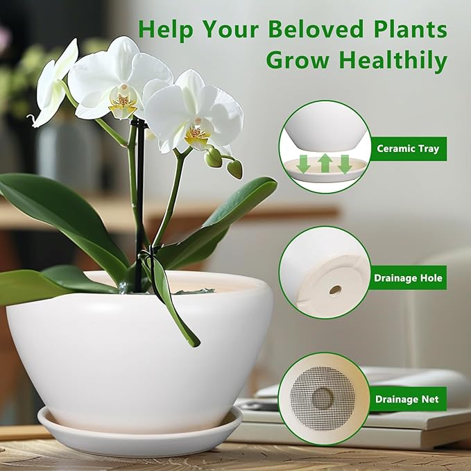 Ceramic Planter for Indoor Plants - 11 Inch Plant Pot with Drainage Hole and Saucer Decorative Round Large Planter Pot for Plants Outdoor Flower Pot for Garden White