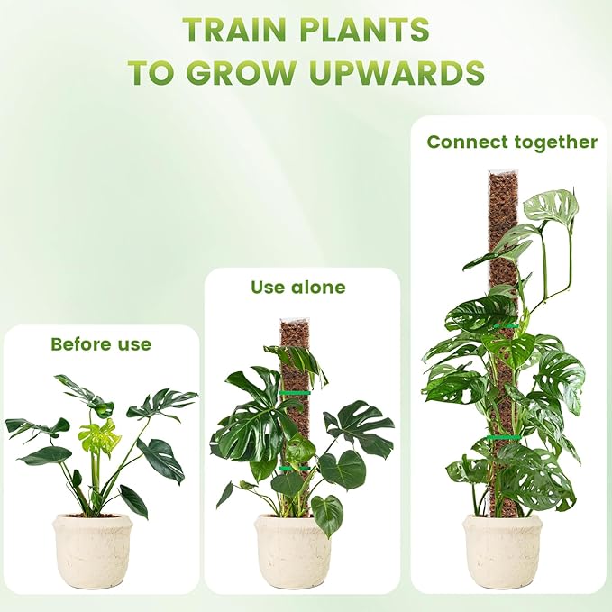 EOX 2 Pcs 24 Inch Plastic Moss Pole for Plants Monstera, Plant Poles for Climbing Plants, Plant Support for Indoor Plants Work with Sphagnum Moss, 45 Inch Moss Pole Set of 2, Garden Ties